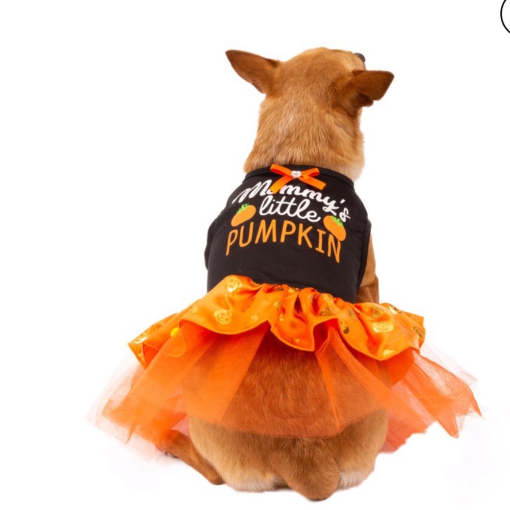 🦋🦋BRAND NEW Way to Celebrate Orange Mommy`s Little Pumpkin Dog or Cat Dress